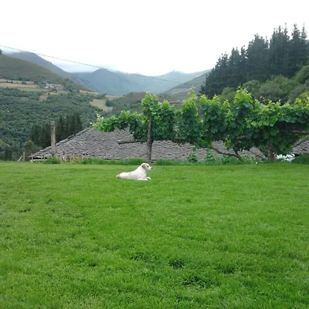 Apartament El Valledor *